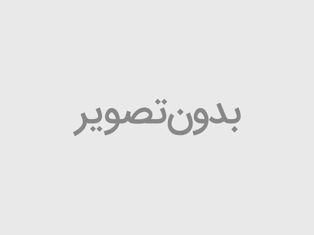 مولکولارسیو Molecular Sieve ۳A) ۳A)